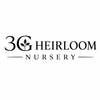 3G Heirloom Plant Nursery - Home